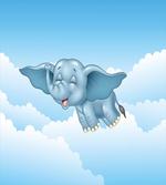 Baby Elephant and Clouds