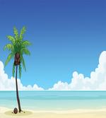Exotic View Tree and Coconuts