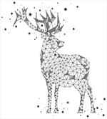 Polygonal Wild Animal