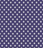 Flag with Stars
