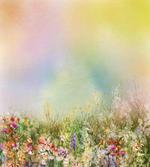 Spring Flower Nature