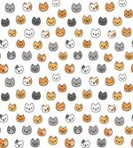 Happy Funny Kittens