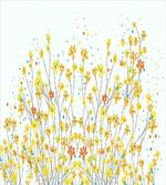 Daffodil Bloom Spring