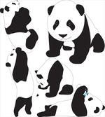 Baby Pandas