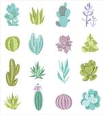 Tropical Desert Plants