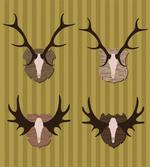 Deer Mous Horns Trophy