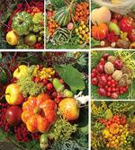 Garden Products Photo