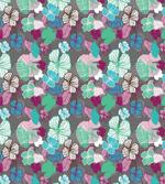 Hawaiian Blossom Plants