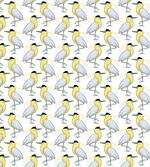 Exotic Bird