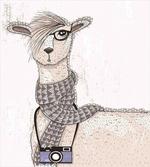 Hipster Lama Camera