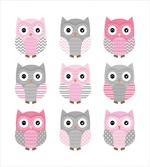 Owl Animals