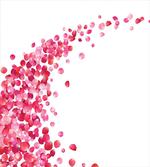 Rose Petals Vortex