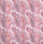 Flourish Blossoms on Pastel Spots