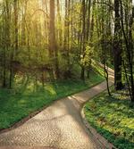 Footpath Green Park