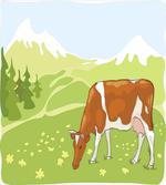 Alpine Meadow Nature