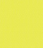 Abstract Juicy Lemons