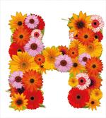 Summer Vibes Letter