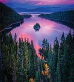 Forest and Lake View