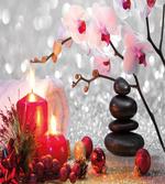Winter Orchid Stone