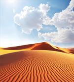 Landscape with Dunes