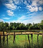Old Wooden Bridge Summer