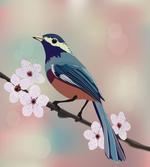 Sparrow Perching