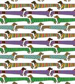 Dachshunds in Clothes