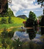 Lake by Meadow Rural