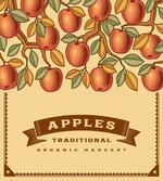 Vintage Apple Harvest