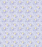 Blooming Petals of Asia