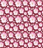 Petal of Japanese Cherry