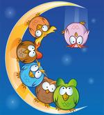 Cartoon Moon Owls Playing