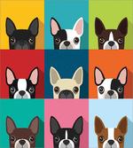 Terrier Portrait