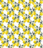Summer Season Fruits artwork