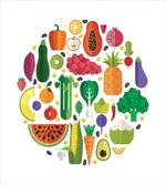 Yummy Food Circle