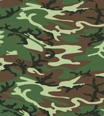 Classic American Woodland
