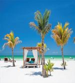 Ocean Coastline Holiday