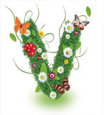 Lively Daisy Bouquet
