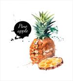 Sketch Hawaii Pineapple
