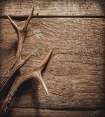 Wooden Deer Rustic Antler