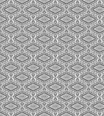 Monochrome Tribal Art