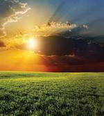 Dark Clouds Sunset