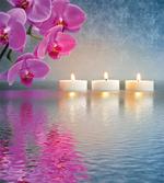 Japanese Candle Sakura