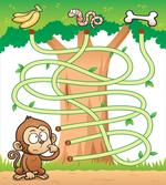 Curious Monkey