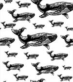 Hand Drawn Big Whales