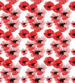 Poppies Vibrant Colors