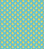 Cartoon Ducks