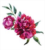 Petals Paint