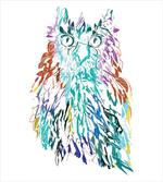 Feathers Eyes Vision