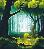 Forest View Outdoor Scene